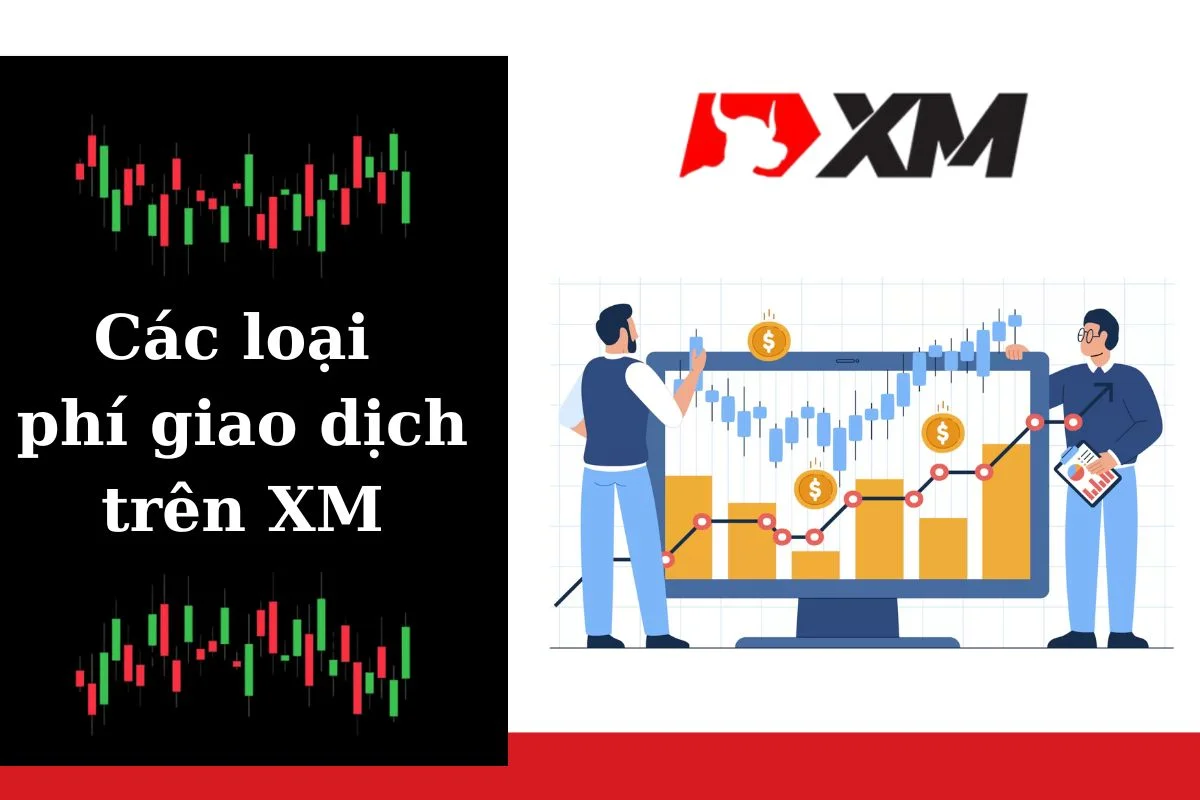 Tất cả các phí giao dịch XM cập nhật mới nhất 2024