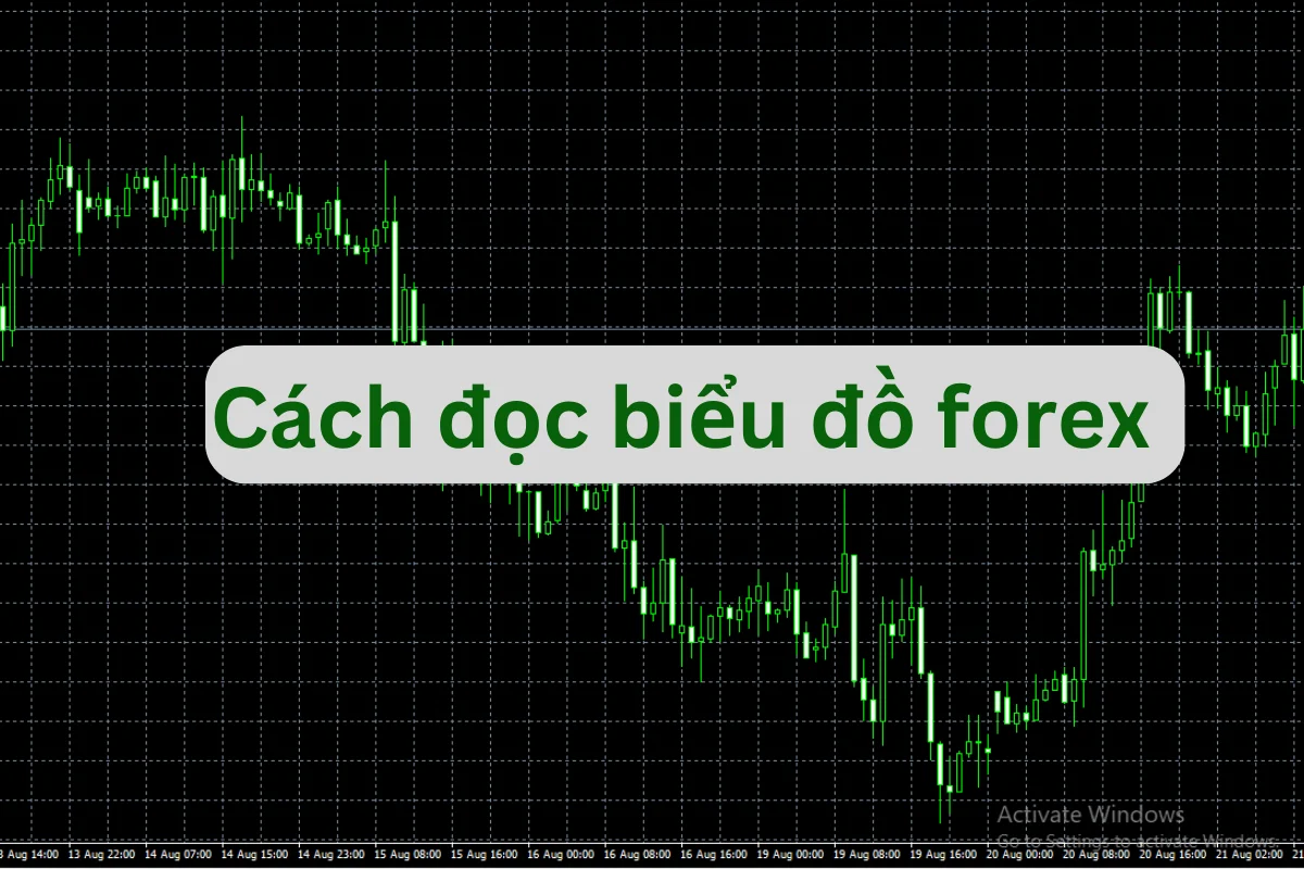 Hướng dẫn cách đọc biểu đồ forex cho người mới bắt đầu