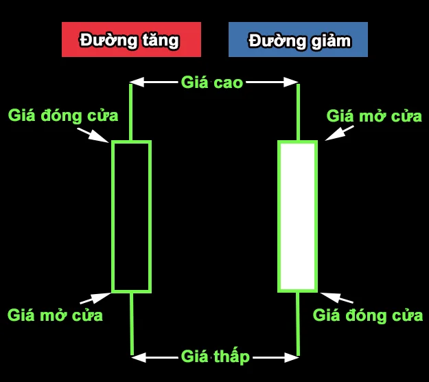 Cách đọc biểu đồ forex 2