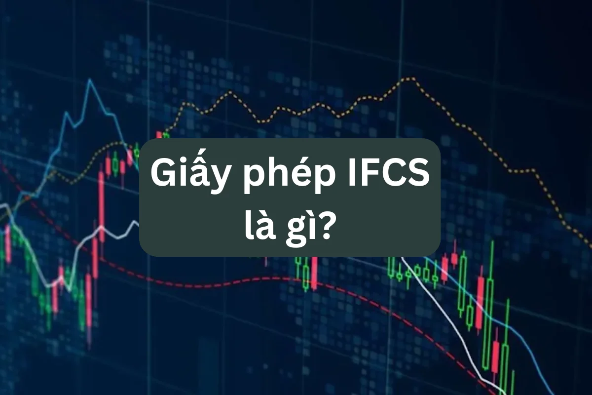 Giấy phép IFCS là gì? Vai trò và quyền hạn của IFSC thế nào?