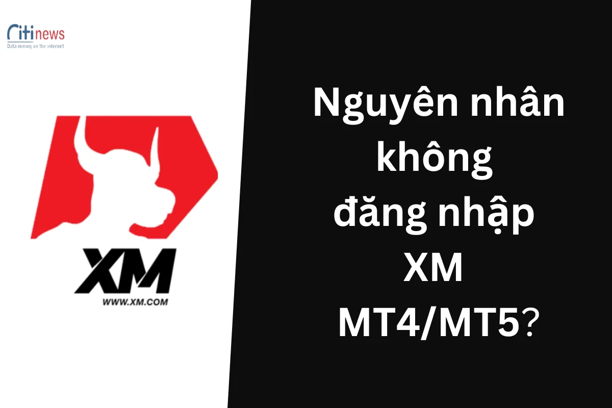 Lý do không đăng nhập XM MT4/MT5 được và giải pháp khắc phục?