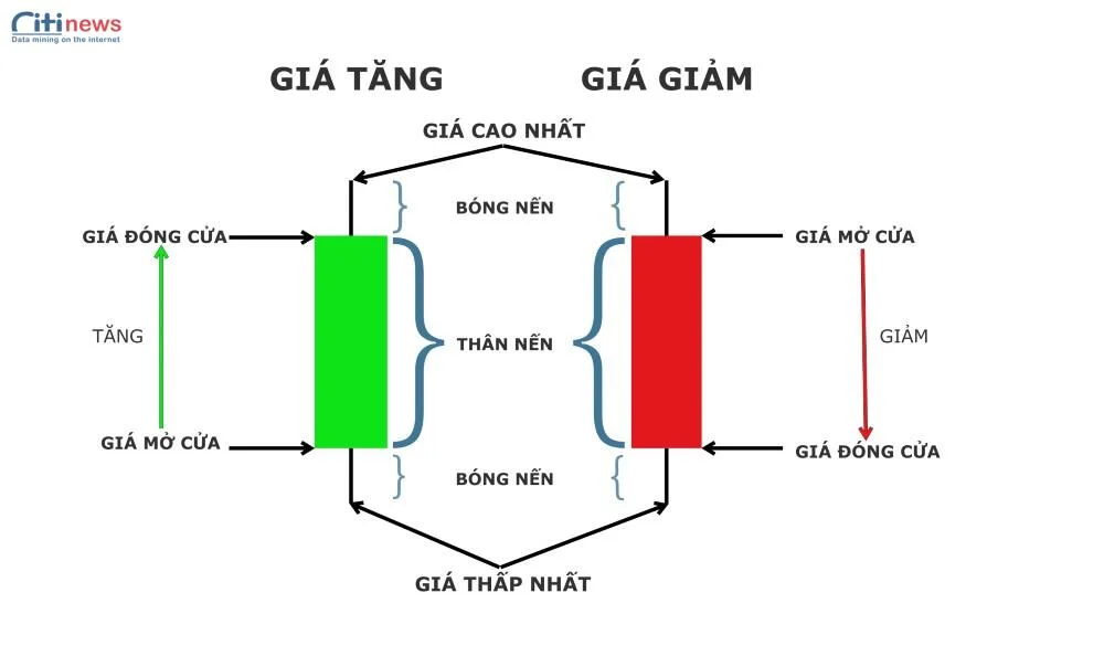 các loại biểu đồ forex (1)