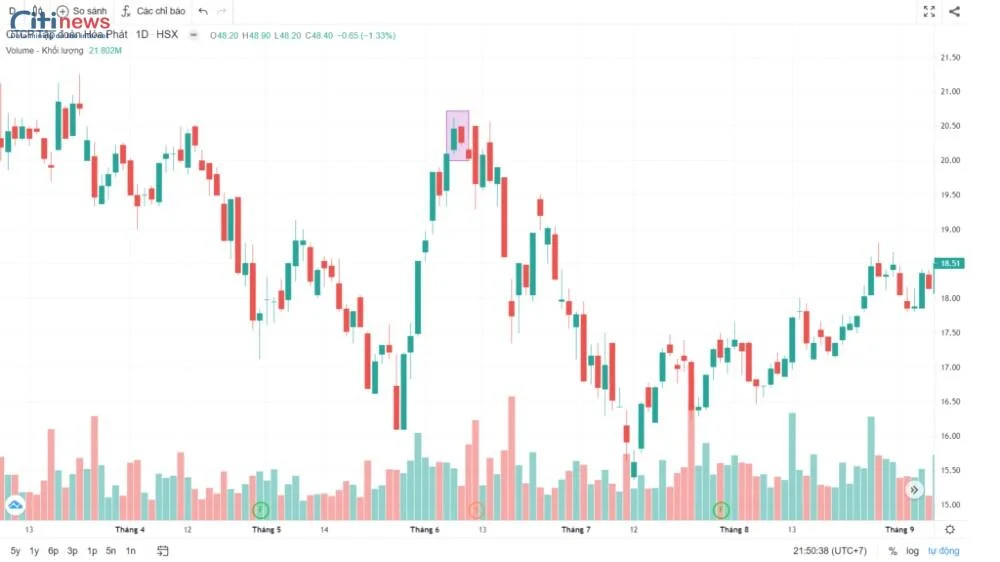 các loại biểu đồ forex