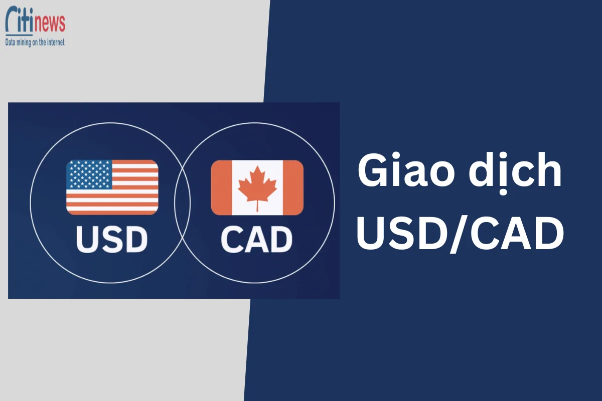 Giao dịch USDCAD là gì? Cách giao dich hiệu quả với USD/CAD