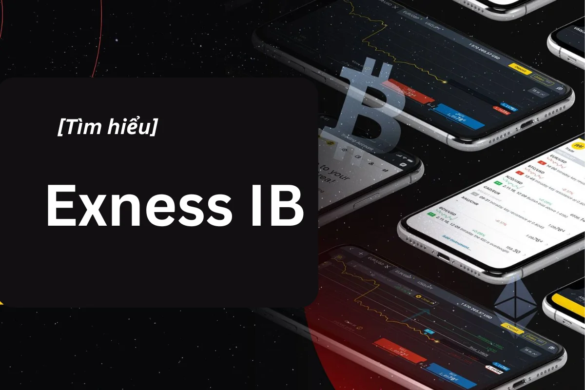 Exness IB là gì? Tìm hiểu về chương trình IB Exness