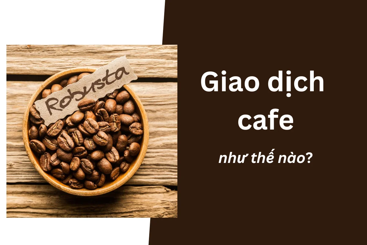 Hợp đồng CFD cà phê là gì? Giao dịch cafe thế nào hiệu quả?