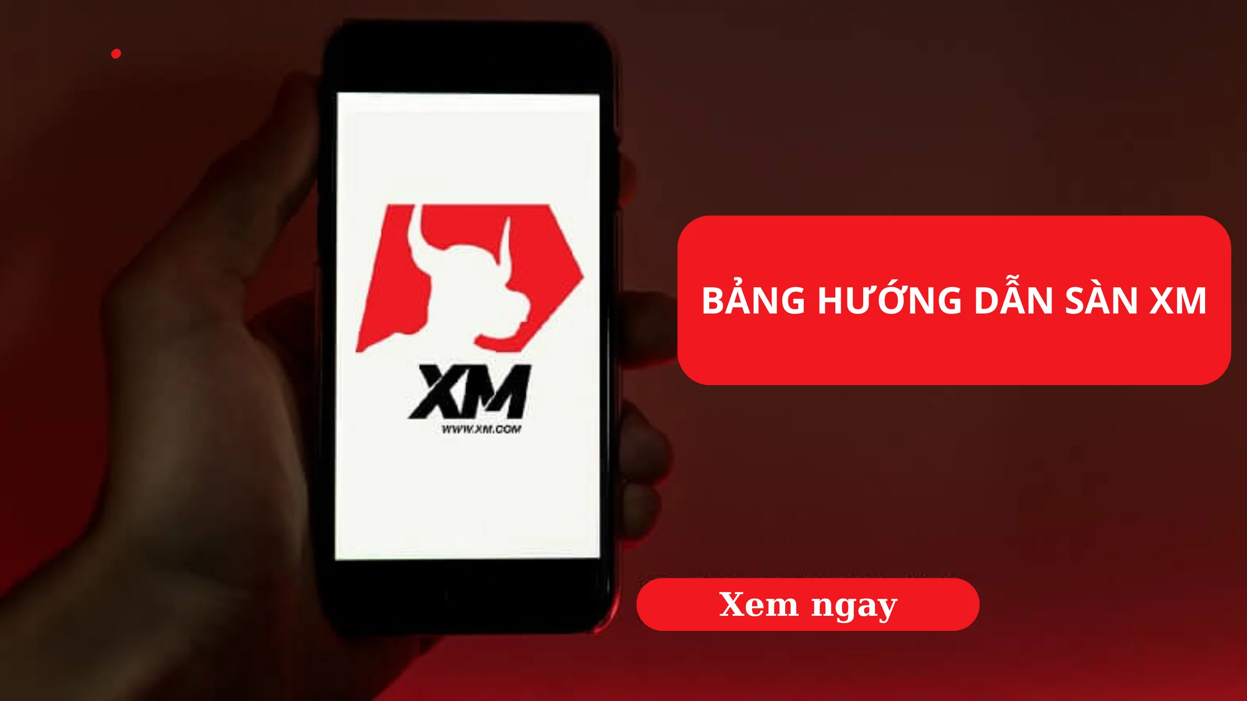 Bảng hướng dẫn sàn XM - tất tần tật chỉ dẫn chi tiết về XM