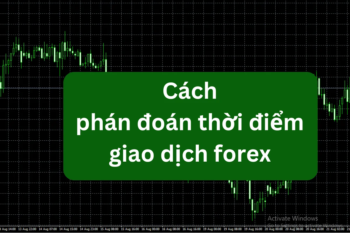 Cách phán đoán thời điểm giao dịch forex chính xác nhất