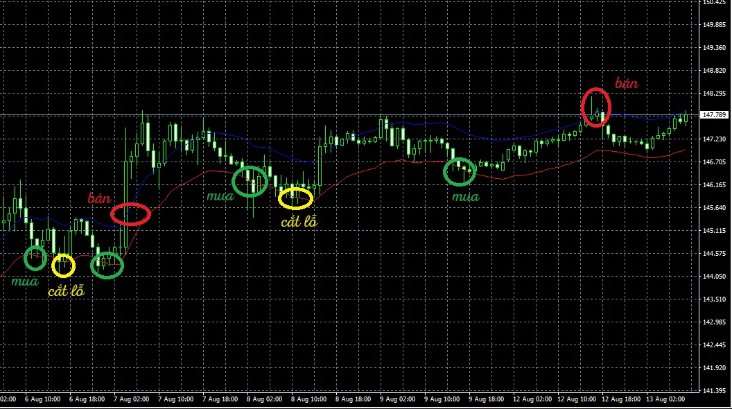 Phán đoán thời điểm giao dịch forex 2