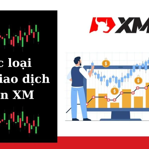 Tất cả các phí giao dịch XM cập nhật mới nhất 2024