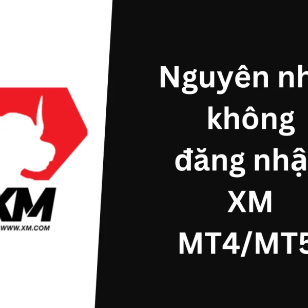 Lý do không đăng nhập XM MT4/MT5 được và giải pháp khắc phục?