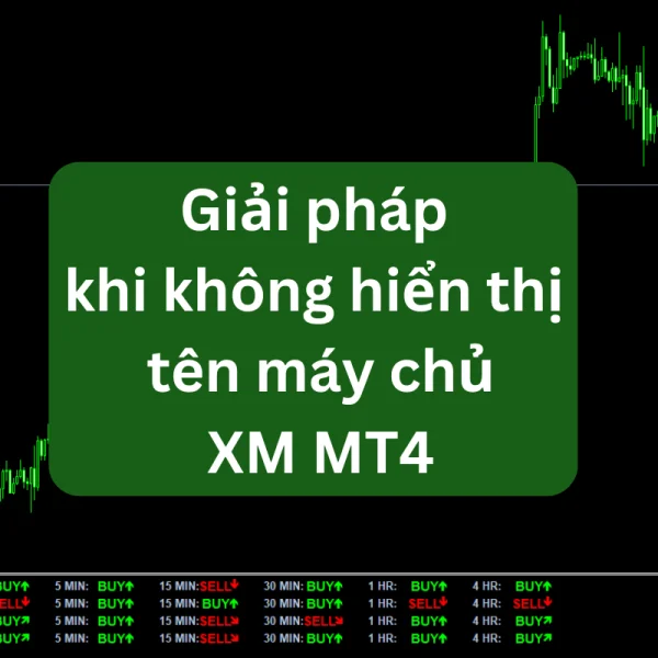 Giải pháp khi không thể hiển thị tên máy chủ XM MT4