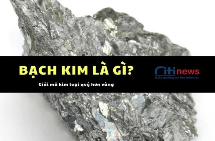 Bạch kim là gì; Bạch kim, vàng trắng có phải là một không?