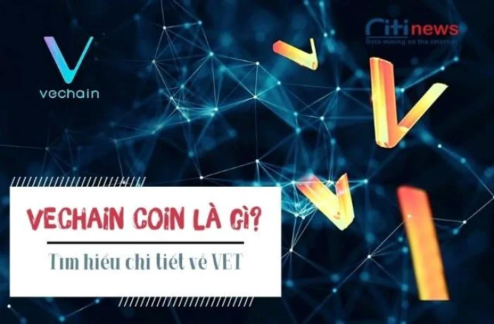 Đồng vet là gì - Tỷ giá đồng VET hiện nay là bao nhiêu?