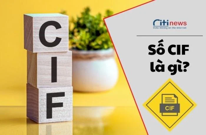 Cif là gì trong ngân hàng - Phân biệt số CIF, số thẻ và số tài khoản