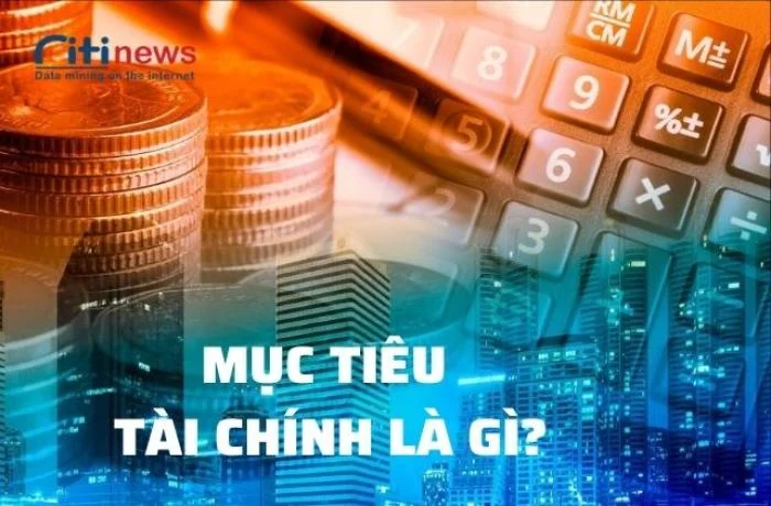 Cách lập mục tiêu về tài chính của cá nhân và doanh nghiệp