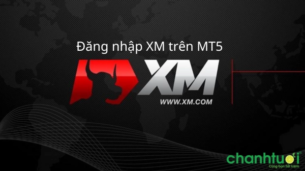 Hướng dẫn đăng nhập XM trên MT5 và cách khắc phục lỗi