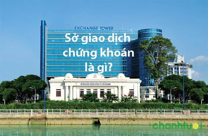 Sở giao dịch chứng khoán là gì? Những điều cần biết về sở giao dịch chứng khoán