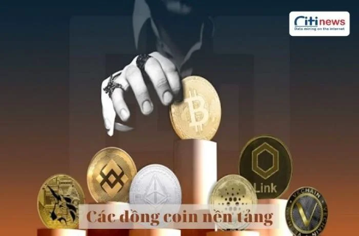 Các đồng coin nền tảng tiềm năng được chuyên gia đánh cao