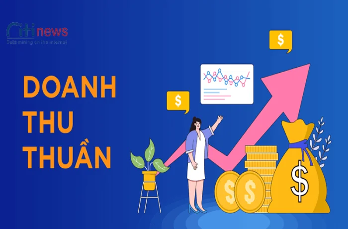 Doanh thu thuần là gì & 5 điều quan trọng mà chuyên gia đánh giá