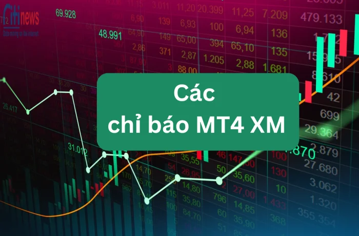 Tổng hợp chỉ báo MT4 phổ biến mà trader nên biết?