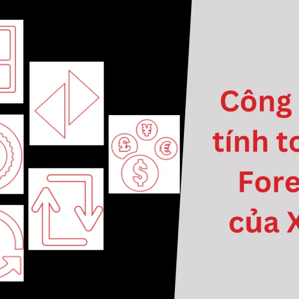 Hướng dẫn cách dùng các công cụ tính toán Forex của XM