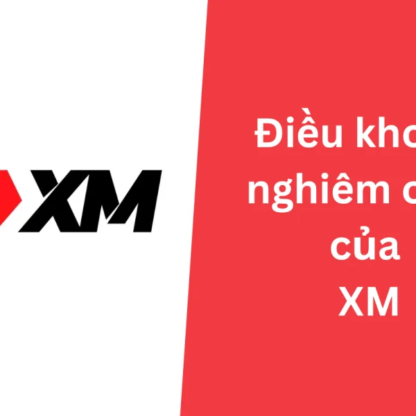 9 Điều khoản nghiêm cấm của XM trader nhất định phải biết