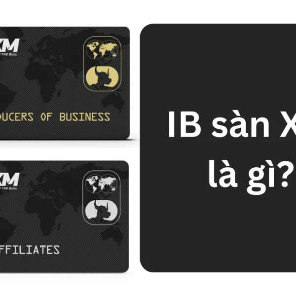 IB sàn XM là gì? Các hình thức làm IB sàn XM hiện nay