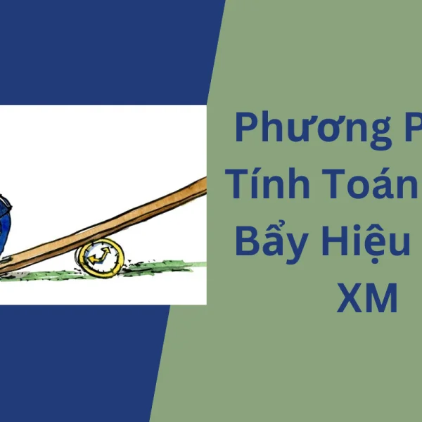 Hướng dẫn Phương Pháp Tính Toán Đòn Bẩy Hiệu Quả XM