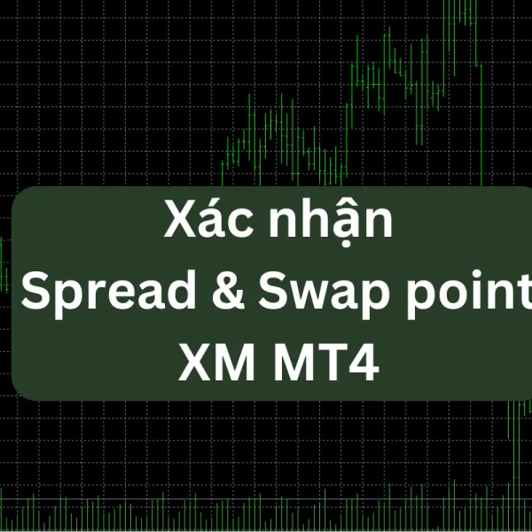 Hướng dẫn cách xác nhận Spread và Swap point XM MT4