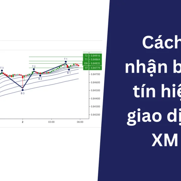 Cách nhận biết tín hiệu giao dịch XM cho hiệu quả tối ưu