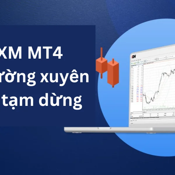 XM MT4 thường xuyên bị tạm dừng thì xử lý như thế nào?