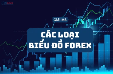 Giải Mã Các Loại Biểu Đồ Forex: Chìa Khóa Đọc Vị Thị Trường!