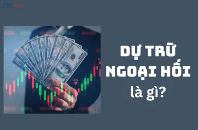 Sự Thật Thú Vị Về Dự Trữ Ngoại Hối Mà Trader Nên Biết!