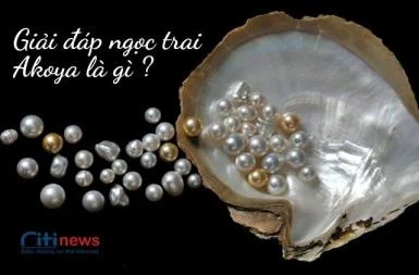 Ngọc trai Akoya là gì & Giá của ngọc trai Akoya hiện nay