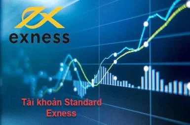 Tài khoản Standard Exness là gì? Phù hợp với những ai?