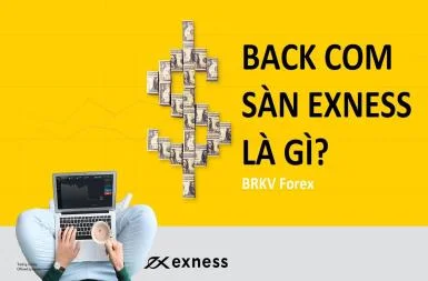 Backcom sàn Exness là gì? Có nên tham gia hay không?