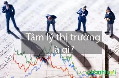 Tâm lý thị trường là gì? Giải mã các chỉ số tâm lý thị trường