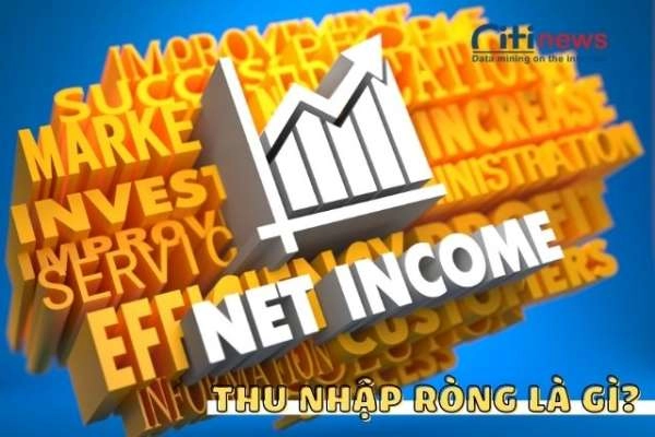 Net Income là gì & Giải thích chi tiết cách tính thu nhập ròng