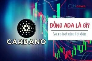 Cardano là đồng gì & Những đặc điểm cơ bản của đồng ADA