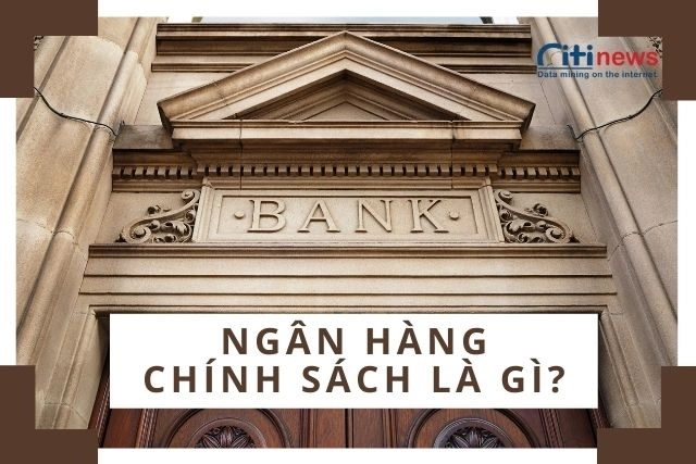 Tìm hiểu ngân hàng chính sách là gì?