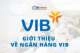 Ngân hàng VIB là ngân hàng gì | Thông tin đầy đủ về ngân hàng VIB