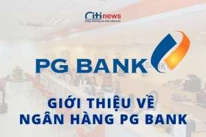 Ngân hàng PG Bank là ngân hàng gì & Nó có đáng tin tưởng không?