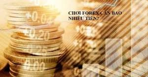 Đầu tư Forex cần bao nhiêu tiền đối với từng hình thức giao dịch?
