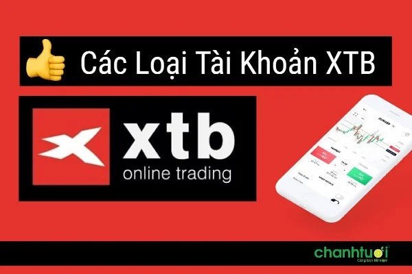 Hướng dẫn chi tiết nhất mở tài khoản XTB cập nhật mới nhất