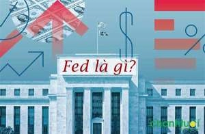 FED là gì? Điều gì khiến FED có thể gây tác động tới nền kinh tế toàn cầu?