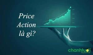 Price Action là gì? Dùng chiến lược giao dịch nào hiệu quả?