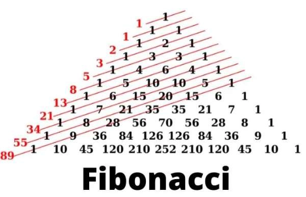 Fibonancci là gì? Có bao nhiêu loại? Ý nghĩa và ứng dụng như nào?