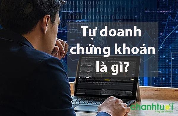 Tự doanh chứng khoán là gì? Những điều nhà đầu tư cần biết