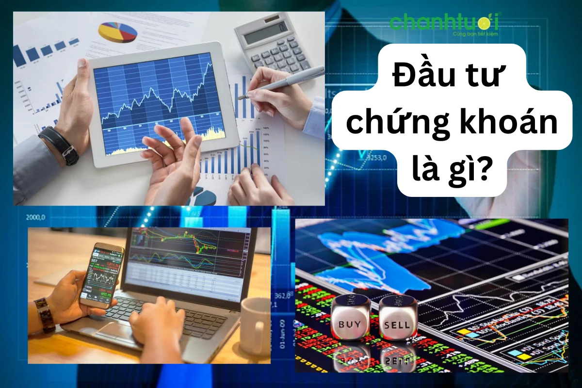 Đầu tư chứng khoán là gì? Cẩm nang đầu tư cho nhà đầu tư mới